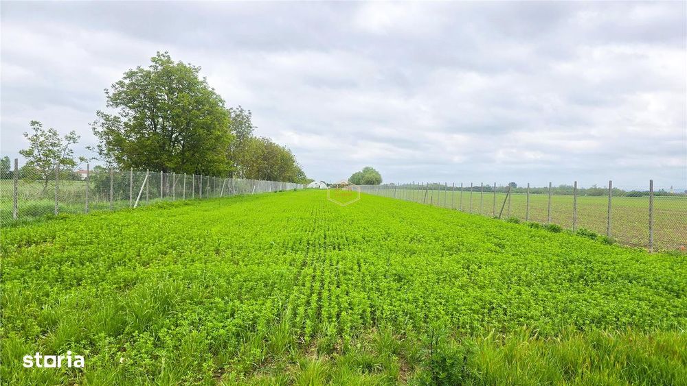 Teren 3.600 m² in Odoreu | 7 km de Satu Mare | 160 m de Principala