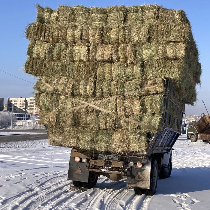 Продаю сено тюки  и рулон