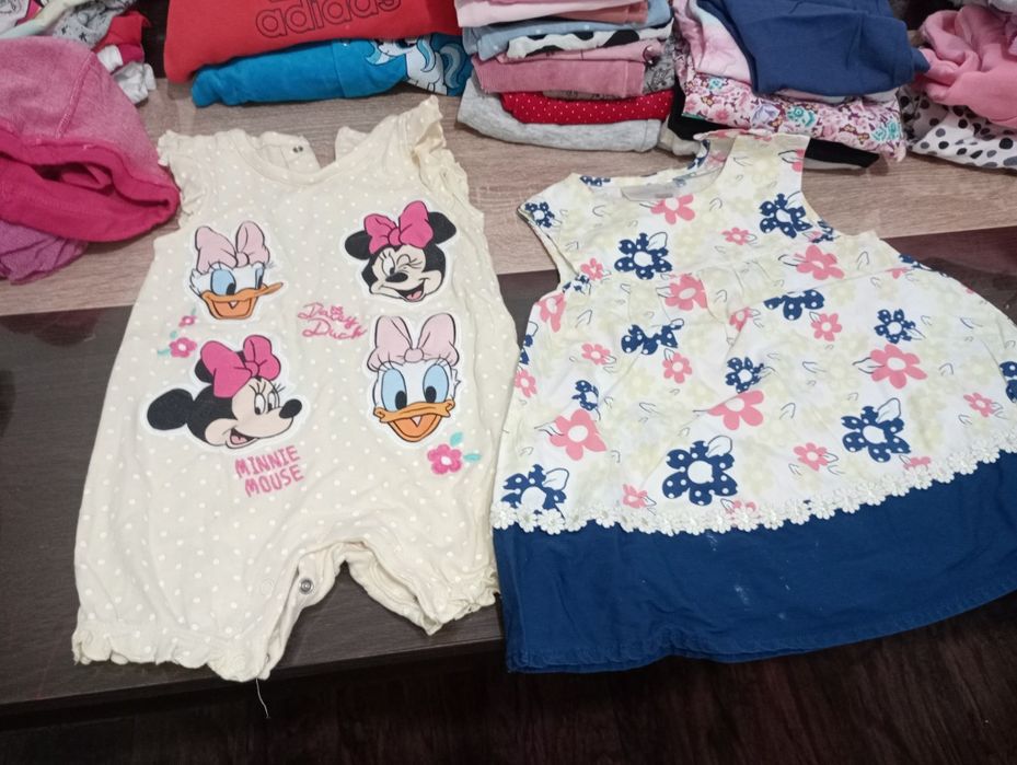 Vand lot primavara 1-2 ani