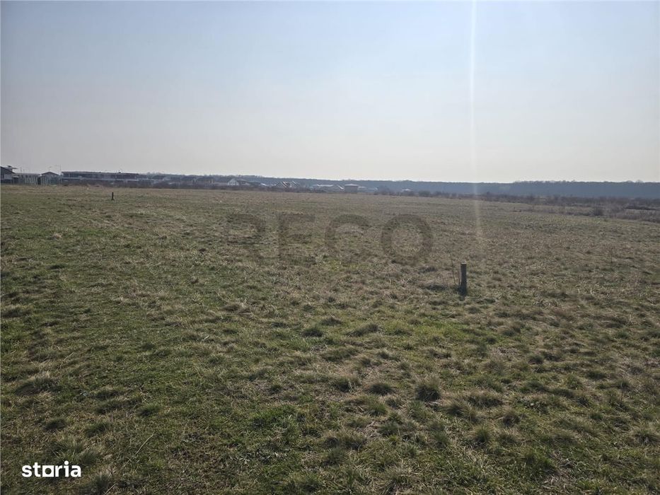 RECO Teren Grigorescu