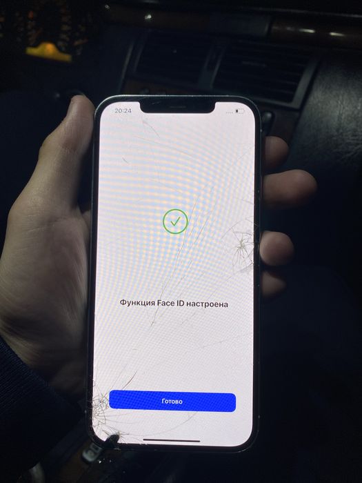 iPhone 12 Pro Max 256 GB