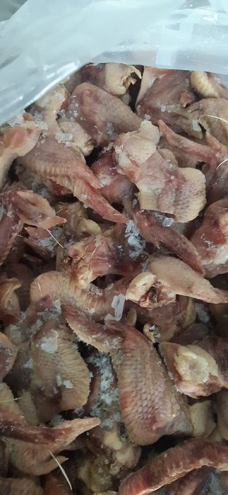 Для собак крылья куриные