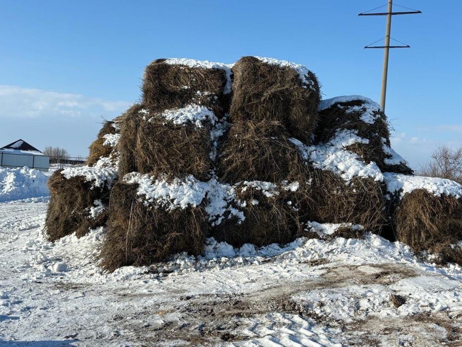 Продается сено разнотравье рулон