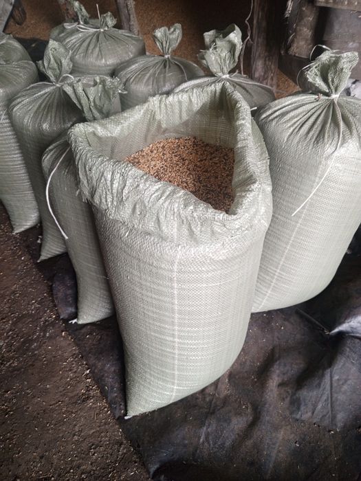 Пшеница мешками 40 кг
