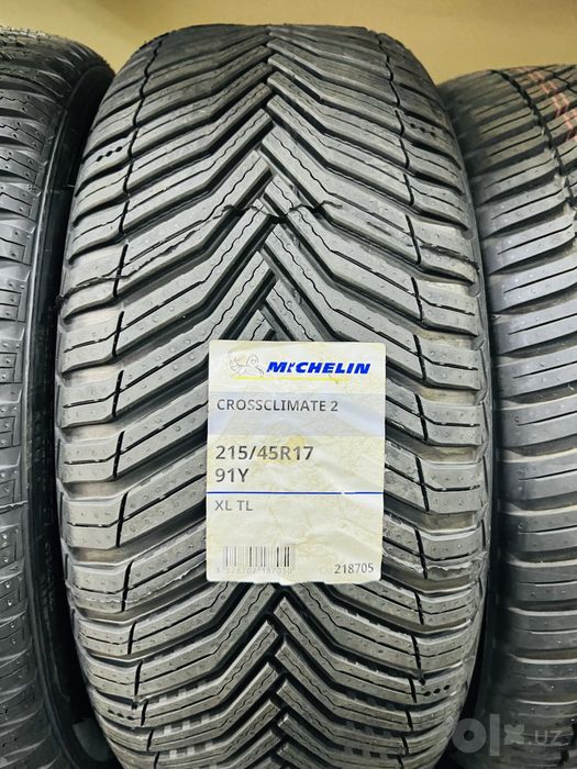 Michelin cross climate