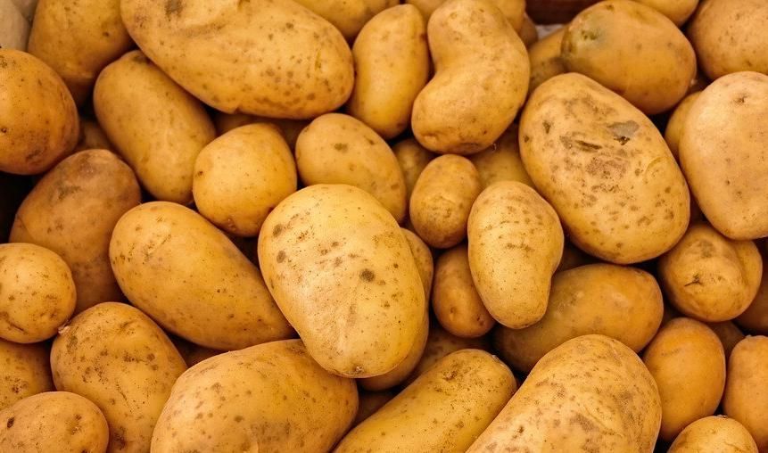 Продам картошку домашнюю