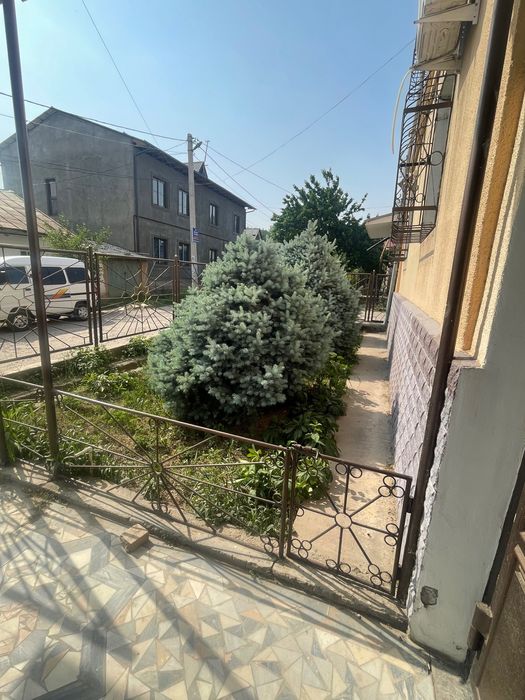 Продаем живую бельгийскую ел