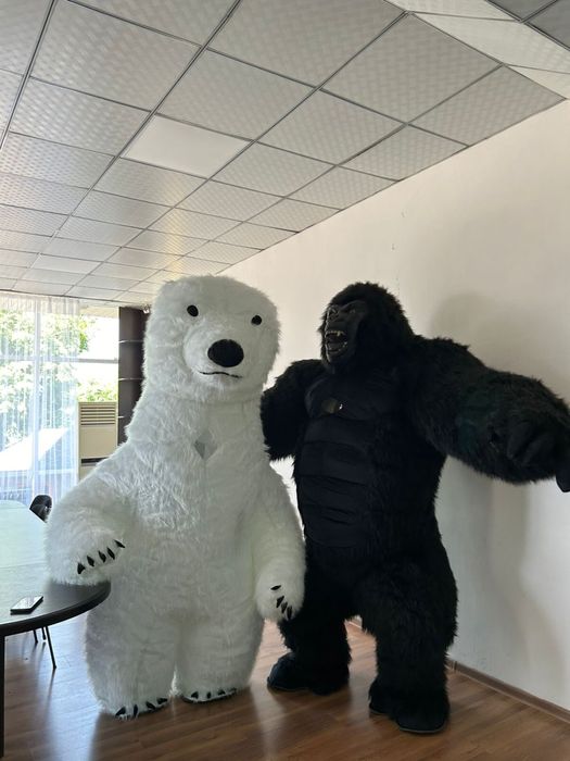 Продам костюм Умки