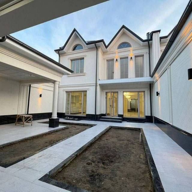 Vagina va mushukning yaqindan olingan fotosuratlari