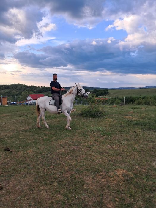Iapa lipitan spre vânzare