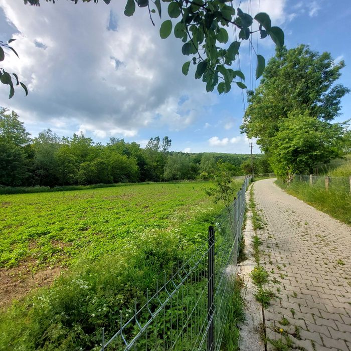 Vand casa + teren suprafata 4313 mp