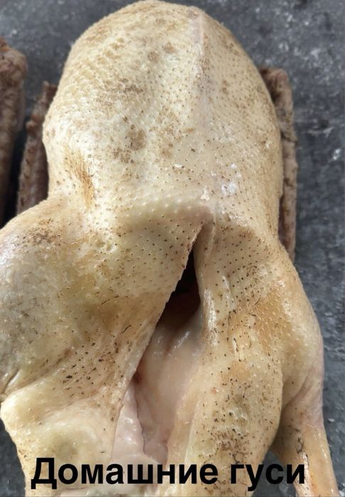 Домашние гуси 3000/кг