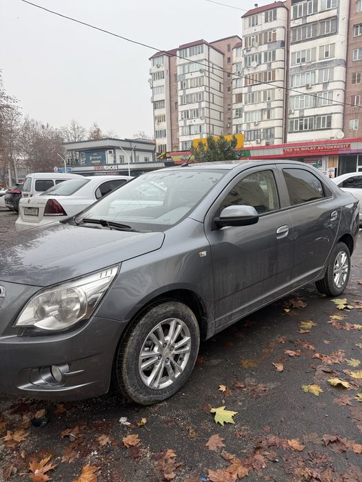 Кобалт родной 2020