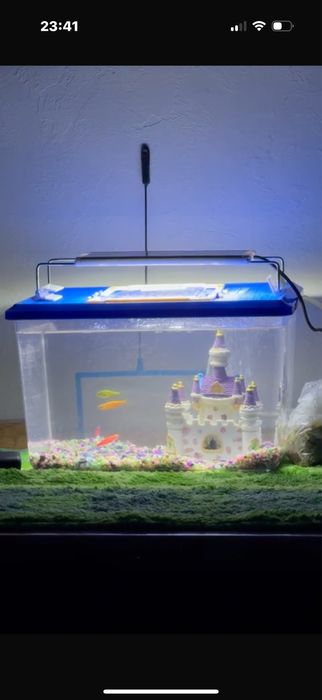 Аквариум с рыбками