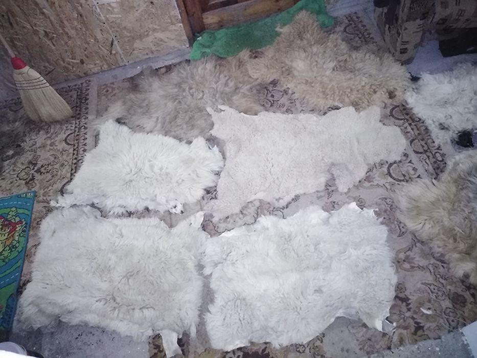 Blana de oaie în stare foarte bună
