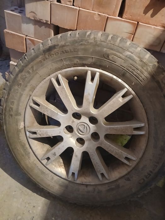 17 лик титанка сатамын!