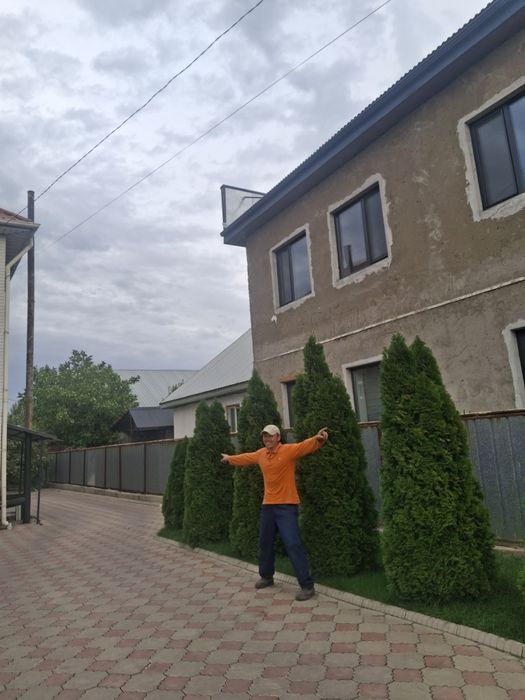 Агаш отырғызу кыскарту кесу кайта отырғызу газон егу шоп шабу садовник