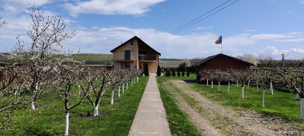Casă cu teren 2600 mp în Dragomirna – garaj dublu, fotovoltaice,