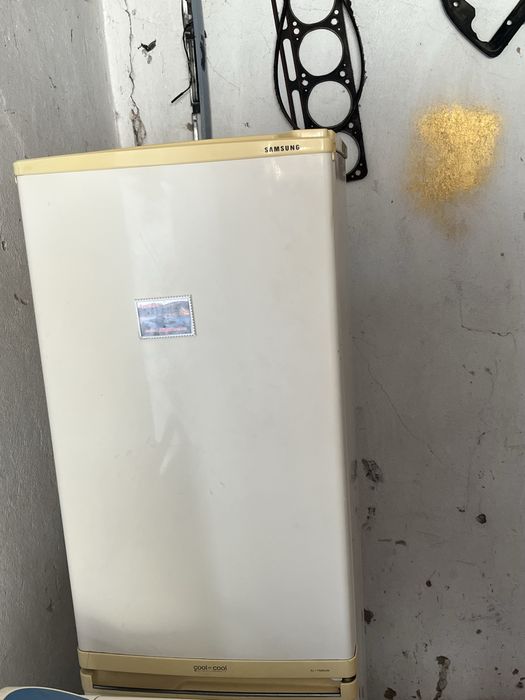 Холодильник и стралька