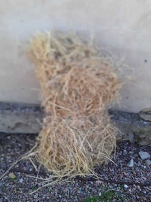 Beda bog'langan arzon narxda