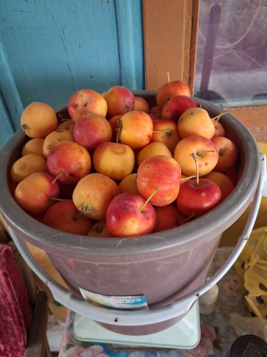 Дача на первой водоколонке. Вьезд во вторые ворота