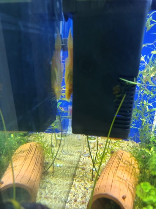 Продам аквариум 250 литров