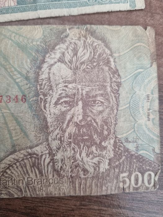 Vand bacnote diferite cu Constantin Brancusi