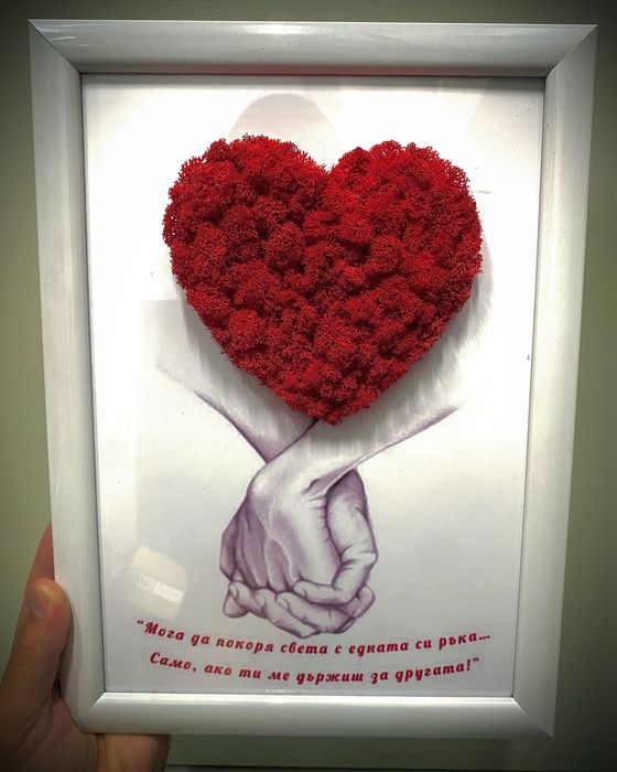 Картини от Скандинавски мъх за различни поводи