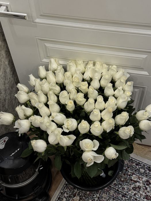 Продам свежие розы 77шт