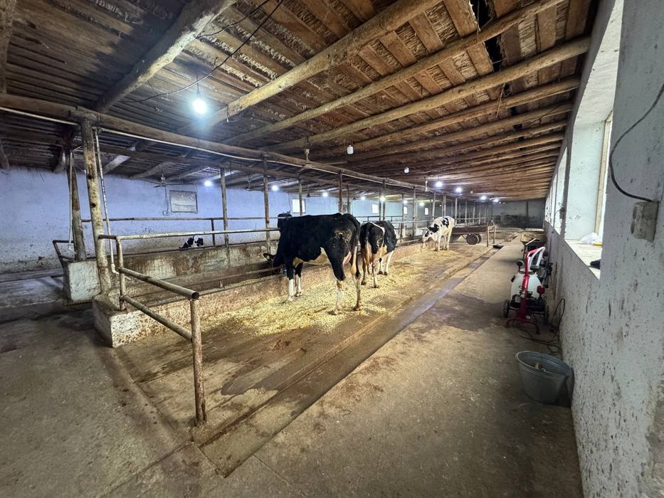 FERMA sotiladi Zangi ota