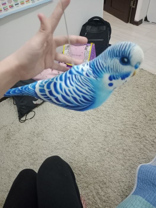 Продам игрушку-попугай