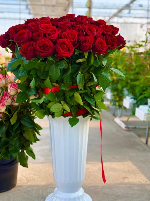 Ищем партнеров в регионах