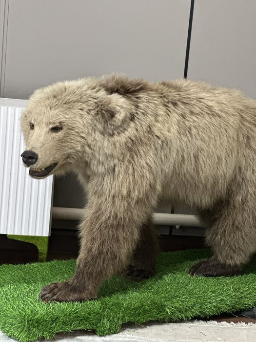 Срочно продам антиквариат Медведь