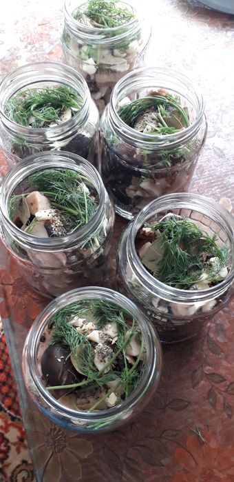 Грибы маринованные солёные