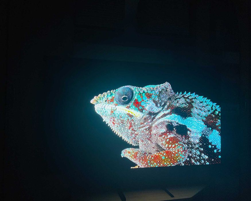 LG OLED55C31LA (C3) OLED 4K 120Hz – Impecabil, utilizat foarte puțin | Gaming