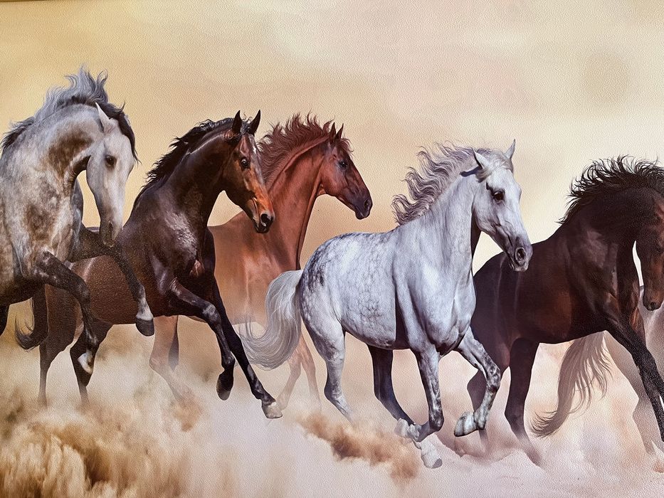 Суретші (художник