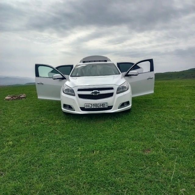 Malibu 1 pozitsia