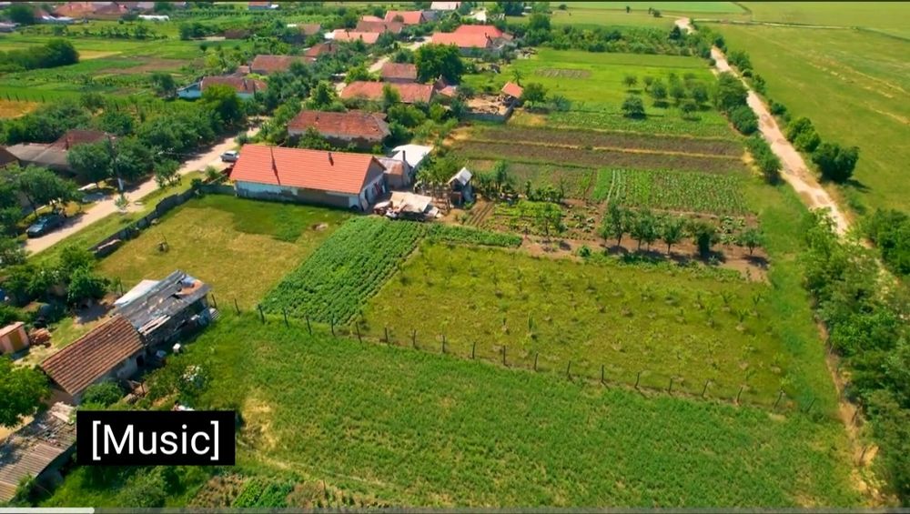 Loc de casă intravilan – Felnac | 1440 mp | Utilități la stradă - Vedere 4