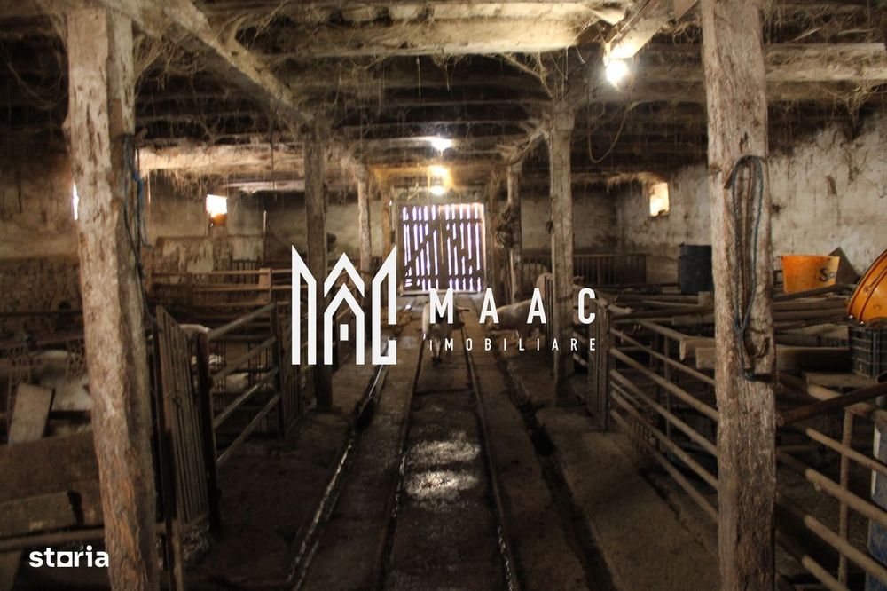 Oportunitate de Aur la Intrarea în Vurpar