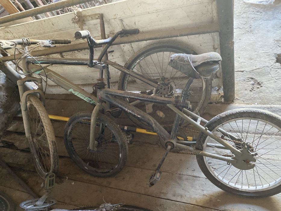 Осы екеуы сатылады