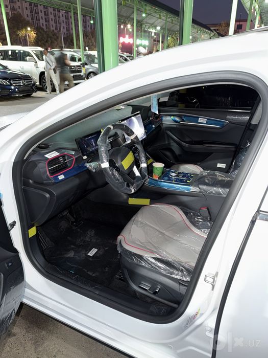 Byd chazor 120 lik
