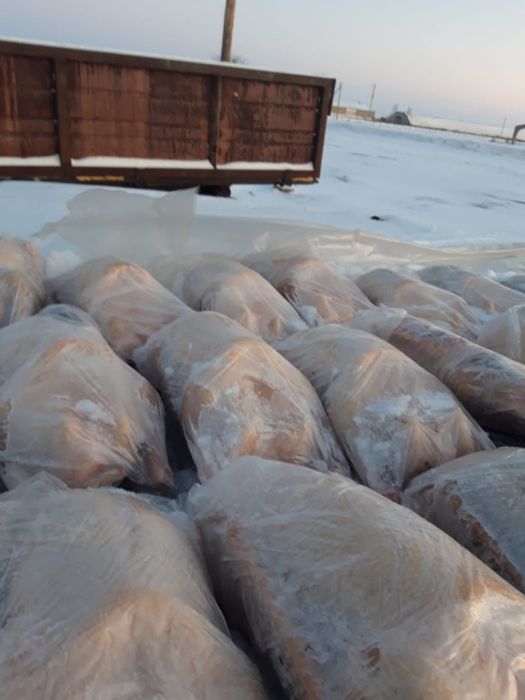 Продажа домашней птицы