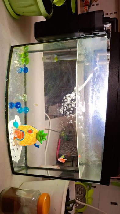 Продам аквариум с рыбками