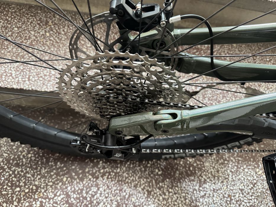 Polygon Collossus N9 L 2024