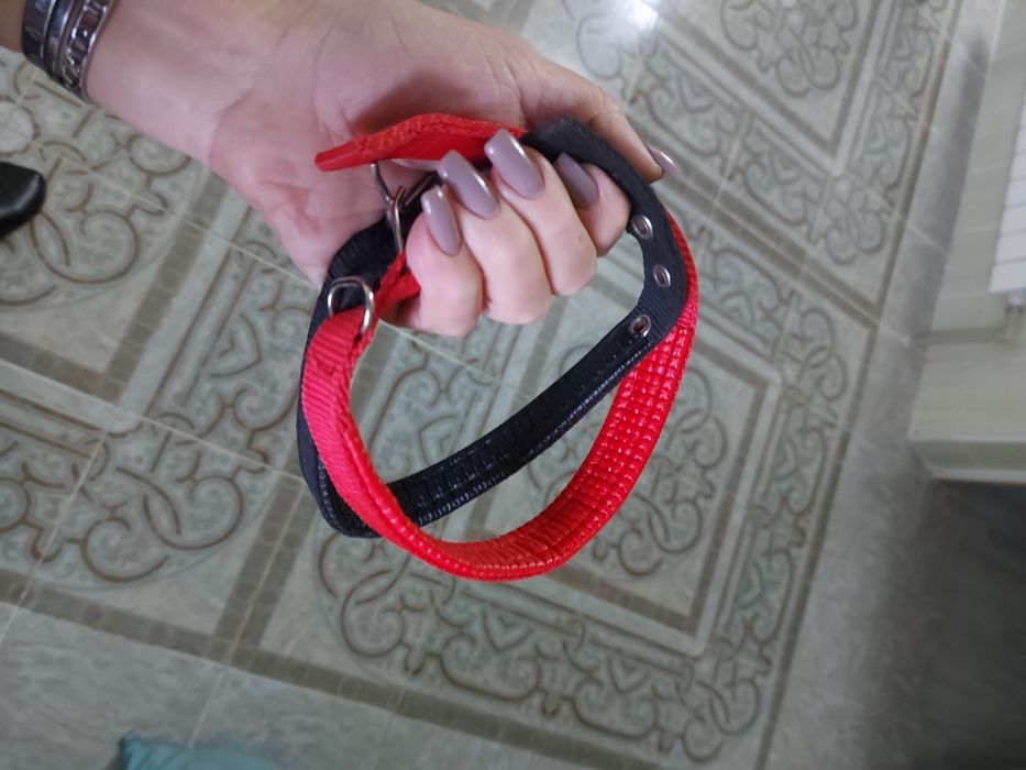 Новые ошейники для собак