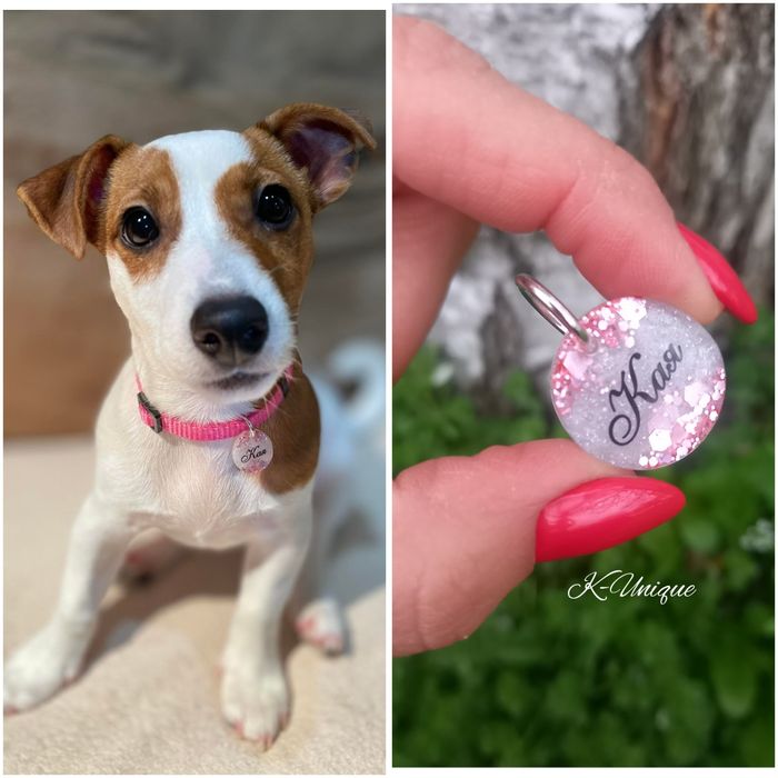 Медальон за куче