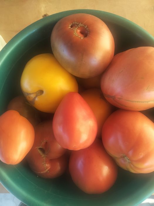 Продам огурцы, и помидоры свежие,дачные
