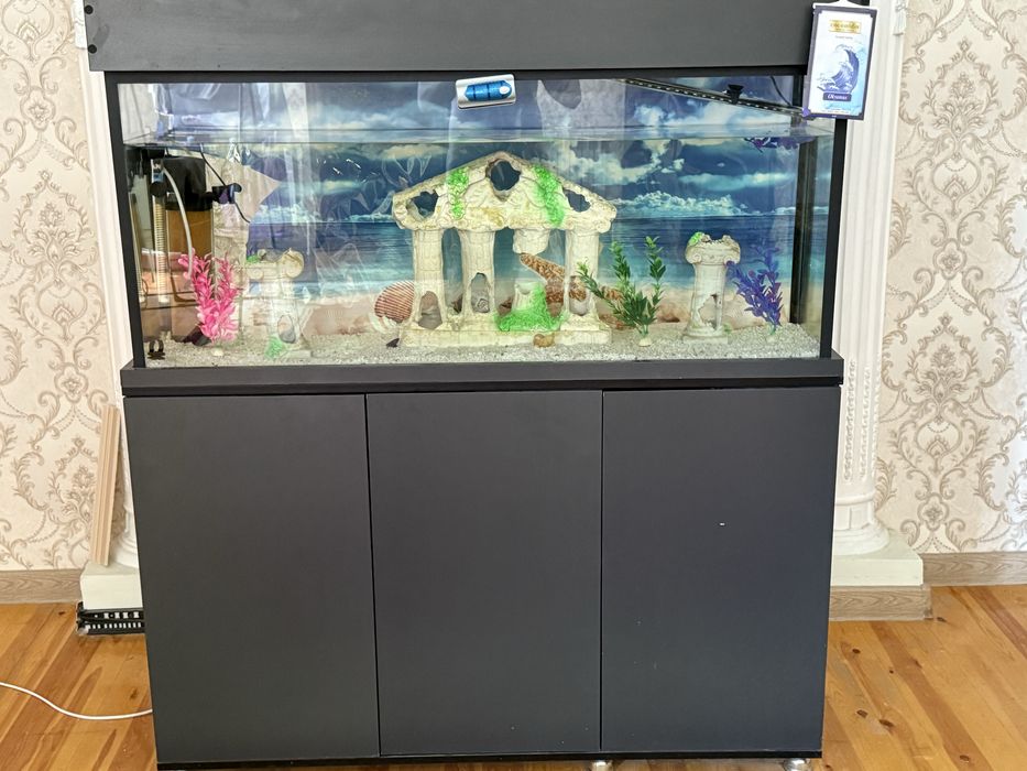 Аквариум ……………..