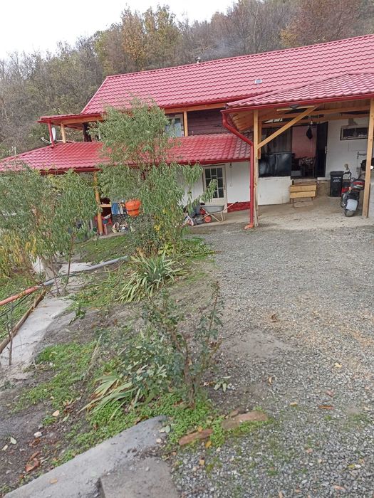 Vand conac de vanatoare in Defileul Dunarii