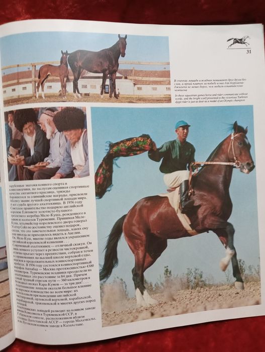 Книга Ветер в гриву HORSES. 1976г.
